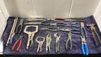 BUCKET OF VARIOUS PLIERS