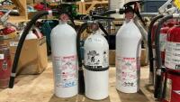 (3) WHITE FIRE EXTINGUISHERS - ABC