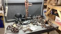 BOX W/BRIDLE W/COPPER SNAFFLE, BITS, HEADSTALL W/ROLLER CURB,