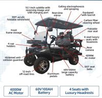 New SDLGC 80 electric golf cart