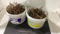 2 BUCKETS OF RUSTED NAILS