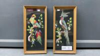 REAL FEATHERED ART PICTURES OF BIRDS
