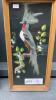 REAL FEATHERED ART PICTURES OF BIRDS - 2