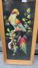 REAL FEATHERED ART PICTURES OF BIRDS - 3