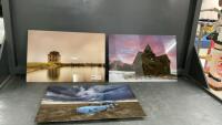 (3) LASER PRINT PICTURES