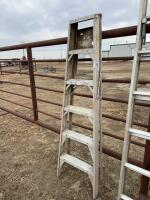 6 foot aluminum step ladder