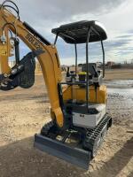 New SDLE 20 mini excavator