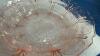 (2) PINK DEPRESSION GLASS PIECES - PLATTER & SMALL BOWL - 3