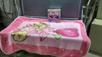 SMALL FUZZY BLANKET + FURBY