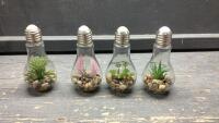 BATTERY OPERATED &ldquo;LIGHT BULBS&rdquo; WITH MINI ARTIFICIAL PLANTS