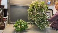 (2) ARTIFICIAL PLANTS - IVY
