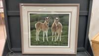 FOAL PRINT BY GLEN OLSON