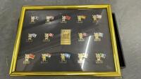 1993 CANADA GAMES LIMITED EDITION PROVINCIAL PINS IN FRAME