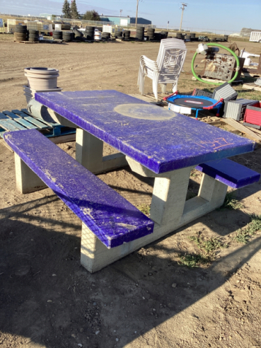 CONCRETE PICNIC TABLE