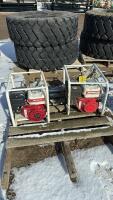 Pallet with two pumps