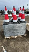 Pallet of cones ( 60 )