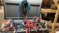 BOX W/HALTERS , LEADS