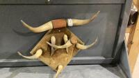 UNIQUE HAT RACK