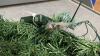 18 INCH LIGHTED WREATH - 2