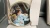 (8) &ldquo;SUGAR & SPICE&rdquo; COLLECTOR PLATES BY SANDRA KUCK - 3
