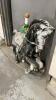 HOLLOW PLASTIC HORSE - 2