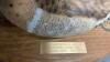DUCKS UNLIMITED SASKATCHEWAN - SMALL DUCK ON WOOD BASE - 3