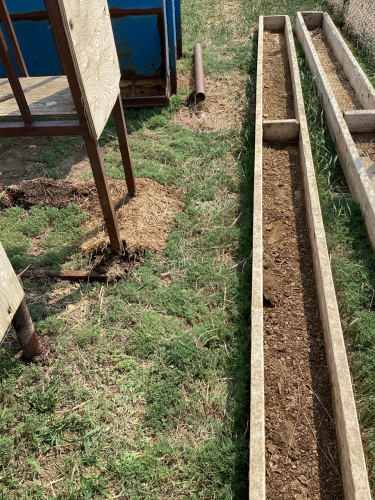 Wooden grain trough