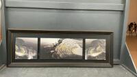 PICTURE COLLAGE OF ROCKS BY SEASHORE