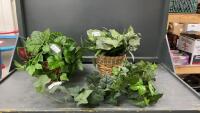 (2) WICKER POTS W/ GREENERY & IVY