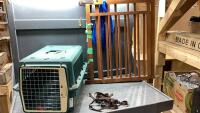 (2) ITEMS -PET SHUTTLE PET CARRIER + WOODEN PET GATE