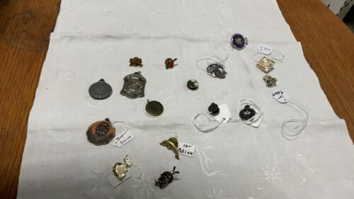 COLLECTION OF MEDALS & LAPEL PINS - ONE IS STAMPED BIRKS STERLING