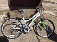 CYTEC INSPIRE 2.2 NAKAMUNA BICYCLE