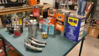 COLLECTION OF TINS - OIL CANS, BBQ STARTER, LINSEED OIL, DEICER, OIL CAN SPOUTS, SMALL OIL CANS