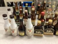 BUCKET W/ ASSORTMENT OF MINATURE LIQUOR BOTTLES