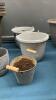PLANT POTS - 3