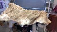 HAIR ON COW HIDE