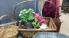 BOX W/ &ldquo;EGG&rdquo;BASKET, WICKER BASKET, TALL PITCHER, &ldquo;DREAM&rdquo; WALL ART - 3