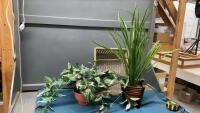 BASKET OF ARTIFICIAL GREENERY - (2) SMALL POTTED PLANTS