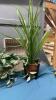 BASKET OF ARTIFICIAL GREENERY - (2) SMALL POTTED PLANTS - 3