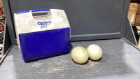 PLAYMATE COOLER WITH (2) OSTRICH EGGS