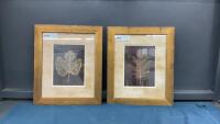 (2) PICTURES W/ LEAVES BY JULIE GREENWOOD