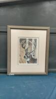 STAG PRINT IN NICE FRAME BY R.FEHR