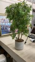 POTTED ARTIFICIAL MARIJUANA PLANT