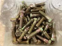 HEX BOLTS