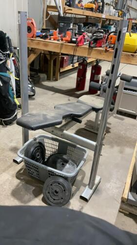 LIFEGEAR EXERCISE WORKOUT BENCH W/ WIEDER AND YORK WEIGHTS
