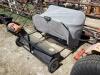 RED ROCK LAWN SWEEPER - 2