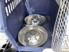 PETMATE - PET PORTER CAGE W/ CONTENTS - 3