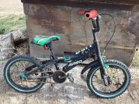 BICYCLE DARI AVIGO