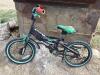 BICYCLE DARI AVIGO - 2