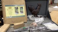 ROOSTER WEATHER VANE - MISSING ROOF MOUNT